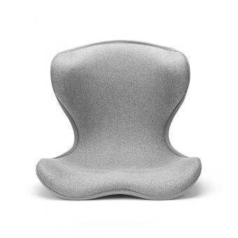 back support cushion